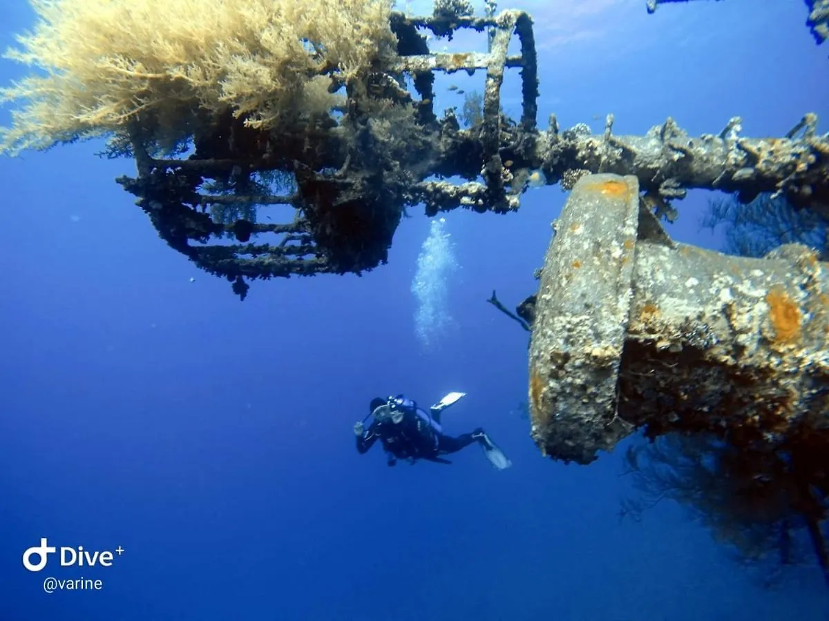 Aqaba Pro Divers Hotel