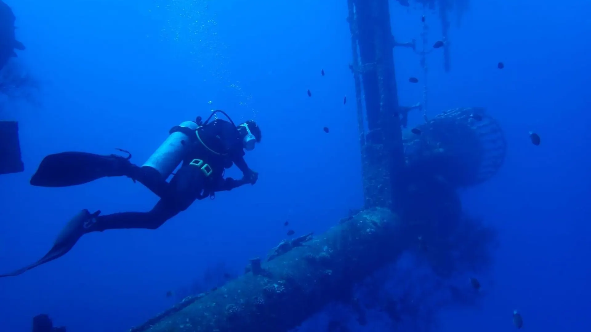 Aqaba Pro Divers Hotel