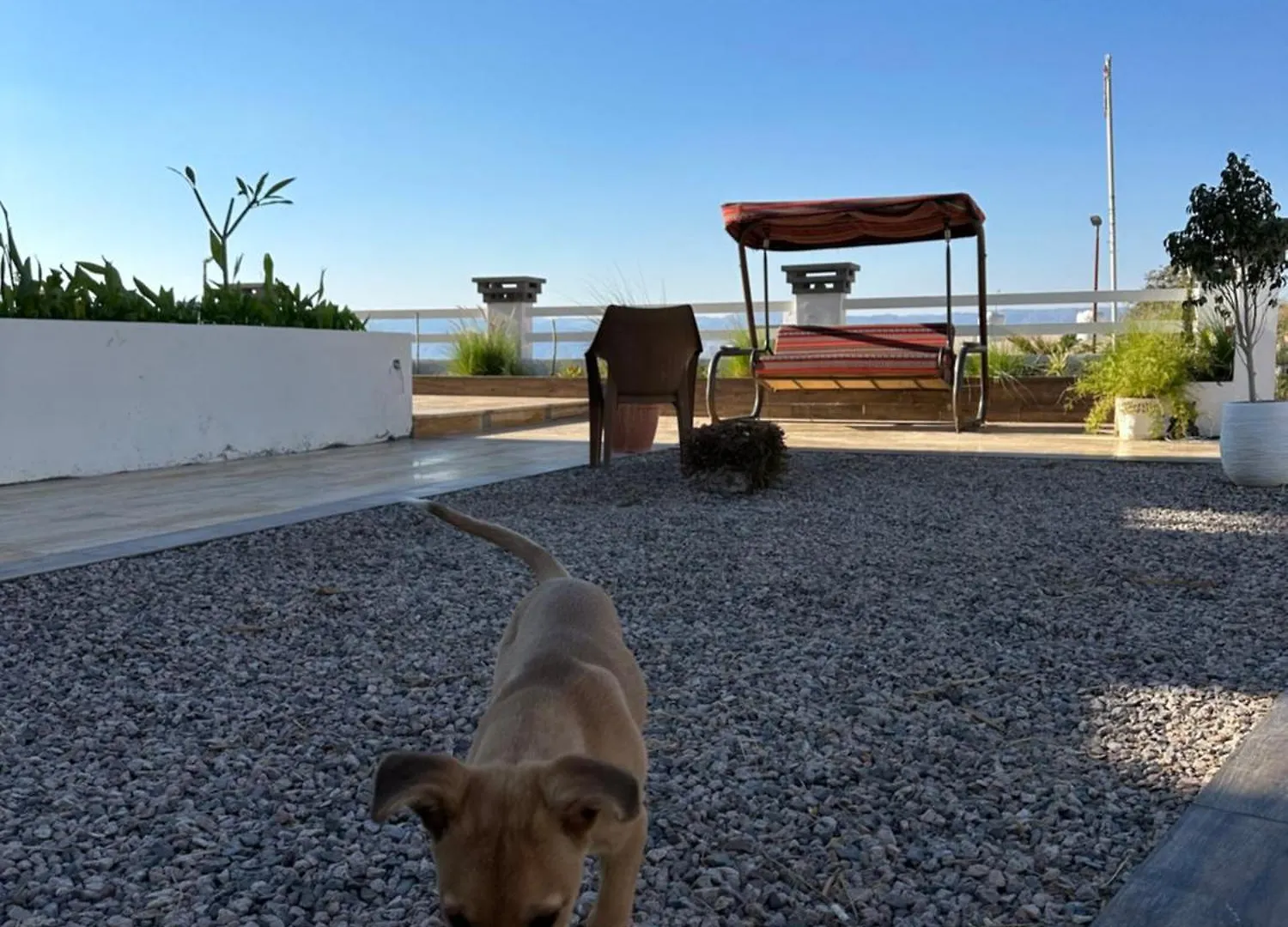 Aqaba Pro Divers Hotel